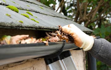 gutter cleaning Huntley